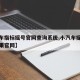 【小车指标摇号官网查询系统,小汽车摇号查询结果官网】